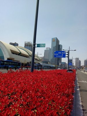 海濱大道與國展中心客運(yùn)站 連云區(qū)的交通樞紐